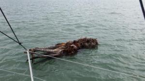 Strange objects floating by 