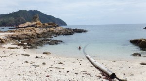 Snorkeling in the beautiful water