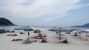 Looking at Camomile through the beach umbrellas