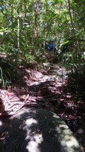 It was a steep climb