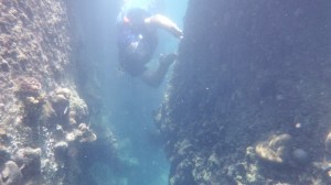 Bill free diving around the rocks