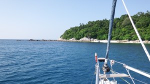 Magnificent coral under the water around the headland in front of us