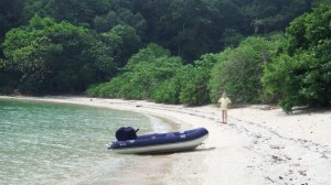 An uninhabited beach