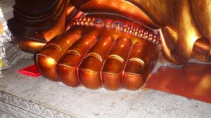 Toes the size of pillows