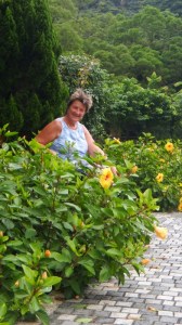 Sitting among the Hibiscus 