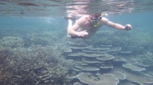 Mark with the coral under him