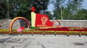 Beautiful flower displays