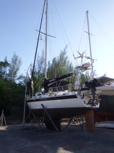 Camomile after her final lift a few weeks ago ready for the Indian ocean