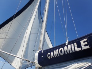 The twin headsails flying