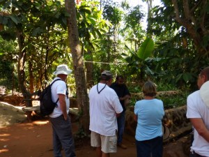 Listening to our guide