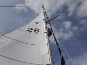Bill up the mast retrieving the uphaul (rope)
