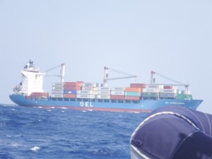 It felt closer than it looks considering it dwarfed us