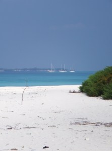 The view on the western side looking across to the yachts