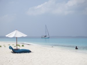 The Waldorf sunloungers 