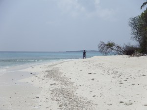 Who is this walking around the island?