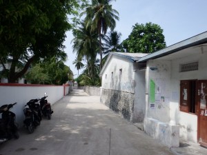 More coral houses here