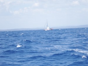 Tintin sailing around southern tip of Sri Lanka