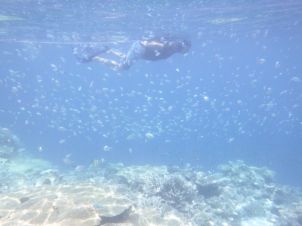 Bill swimming with 100s of fish following him.