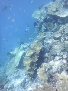 Looking over the edge