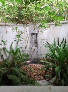 The overgrown outside shower