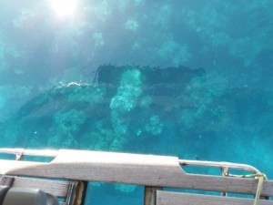 View off the bathing platform