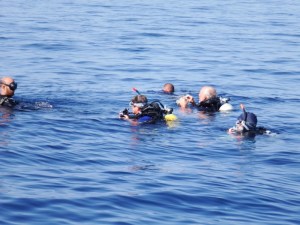 All ready to go down