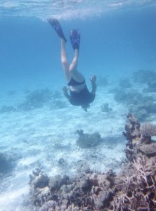 Bill swimming down for a closer look