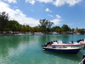 Overlooking the park