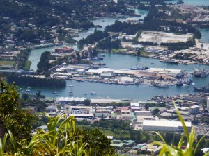 Looking down on Camomile