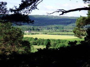 Beautiful countryside