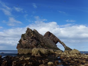 Bow fiddle rock