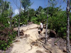 The track rises steeply