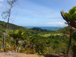 The view to the other side.