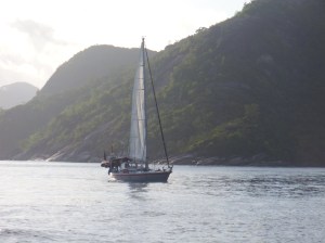 Sailing together with Tintin