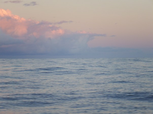 Tintin is a speck on the horizon