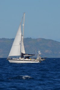 Thank you to Susie on Adina for these photos