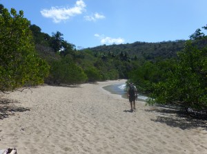 Higher up the beach there was sand but also mangrove trees growing in the edge of the water.