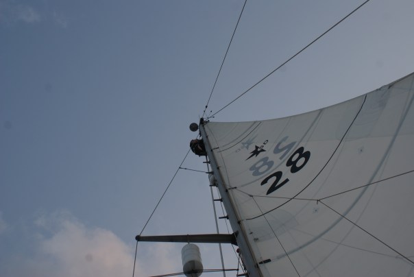 Bill at the top of the mast
