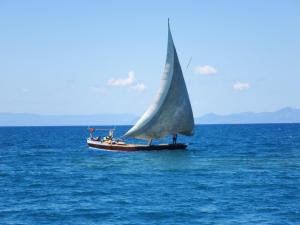 A sailing dhow
