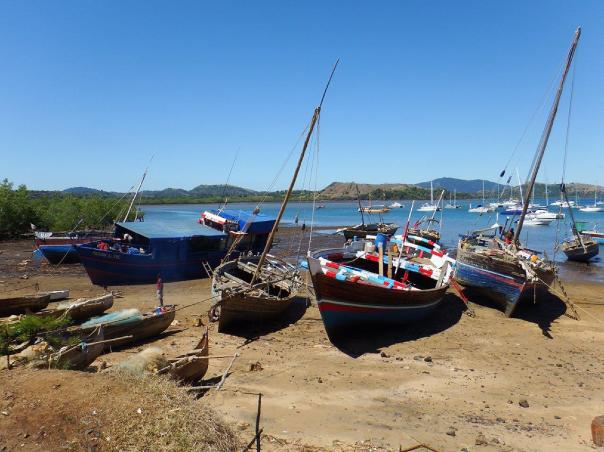 Dhows waiting for the tide