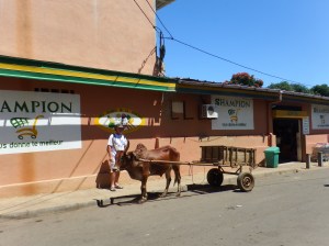 A zebu cart