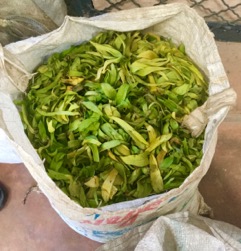  A 20kg bag of petals
