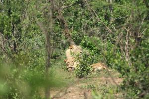 Starting to look around