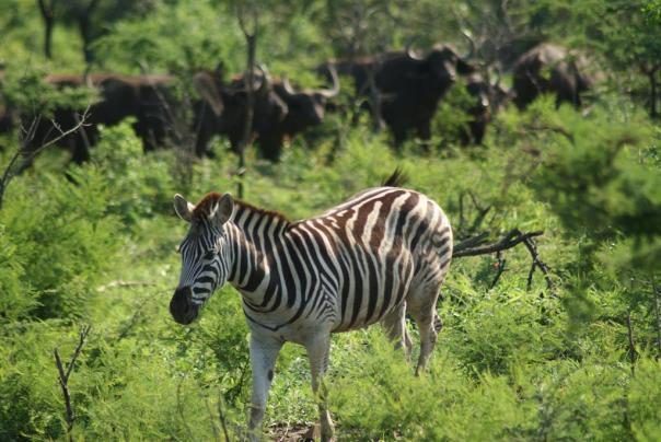 There're behind you!