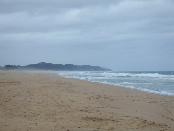 The wild Indian ocean