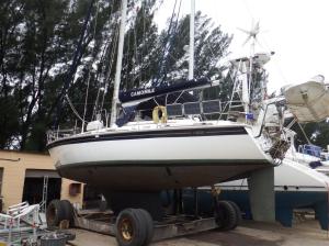 Camomile ready to go back into the water