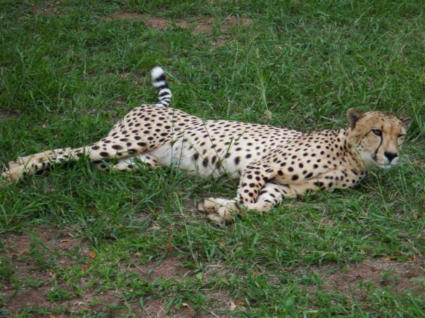 "Who's this coming into my space"