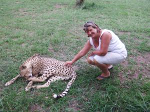 I got to stroke the cheetah