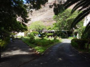 The castle gardens with Anne's place at the back
